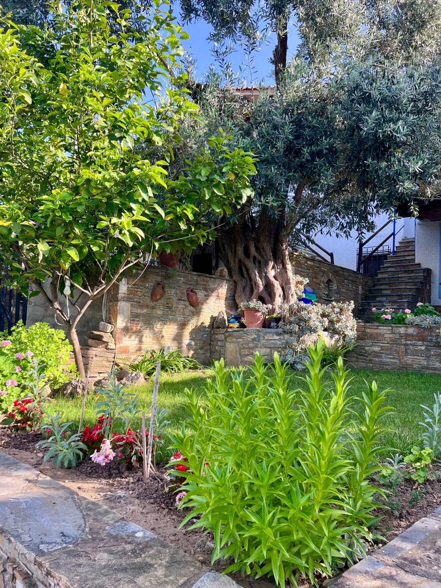 Sourpi Villas Nies Seaside Appartments מראה חיצוני תמונה